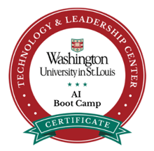 AI Boot Camps